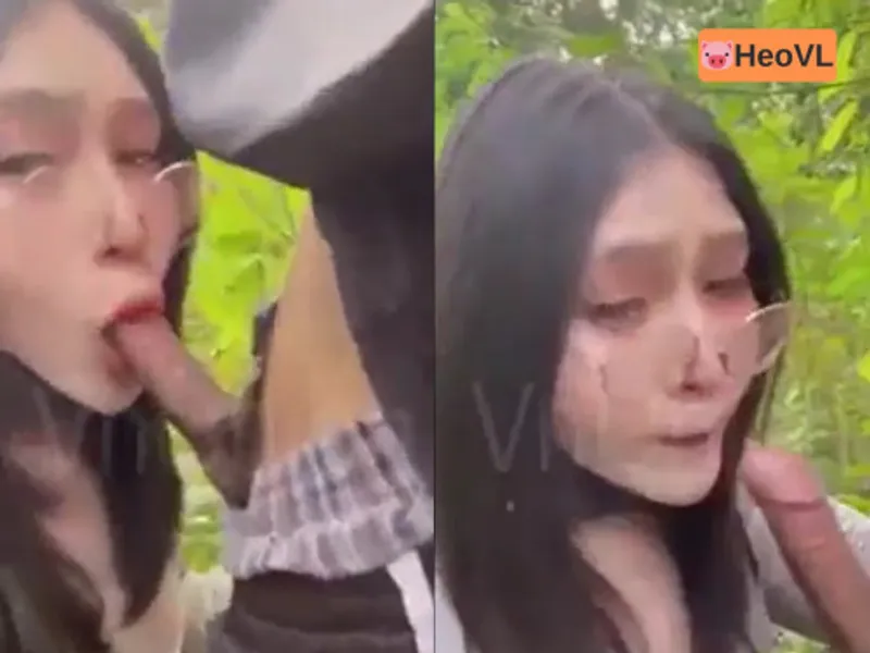 đi dã ngoại tiện nắc gấu ở trong rừng